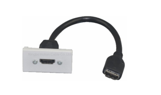 HDMI Face Plate