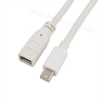 Mini DisplayPort Male to Mini DP Female Cable